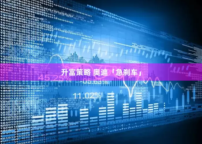 升富策略 奥迪「急刹车」