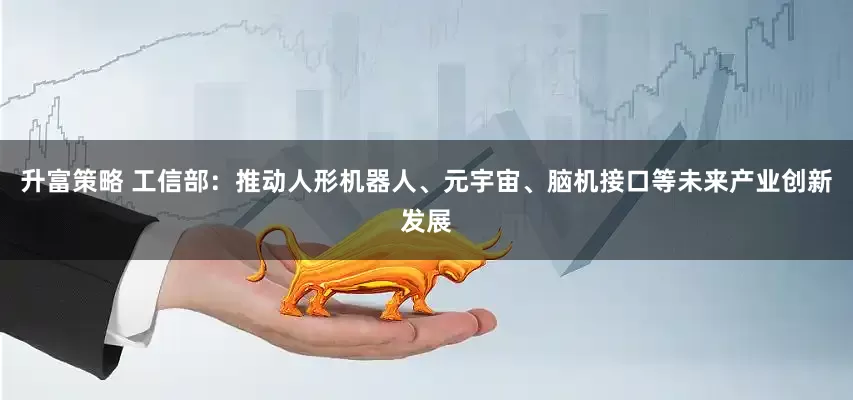 升富策略 工信部：推动人形机器人、元宇宙、脑机接口等未来产业创新发展