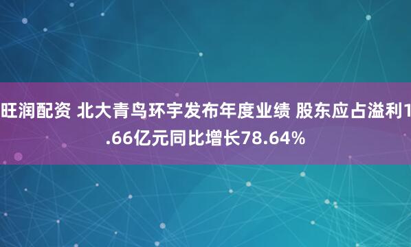 旺润配资 北大青鸟环宇发布年度业绩 股东应占溢利1.66亿元同比增长78.64%